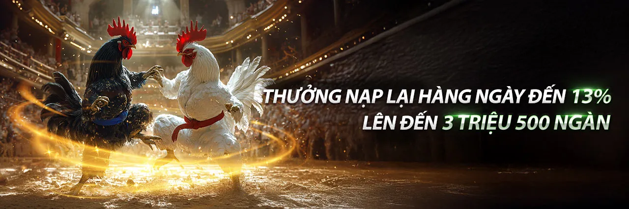 Các trò chơi dealer trực tiếp phổ biến tại loto188