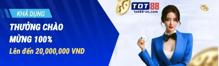 Người dùng đang quản lý cài đặt cookie trên trình duyệt